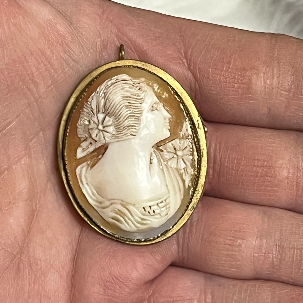Old Cameo Brooch - Picture 9 of 11